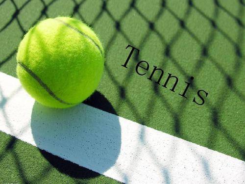 这为主帅本 这为主帅本