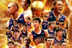 具备可推广 具备可推广